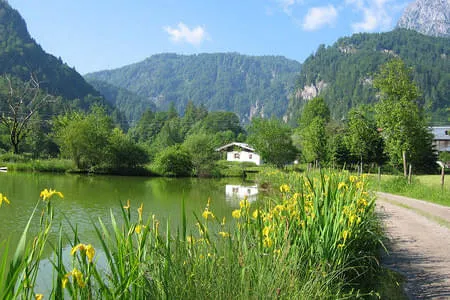 Pension Wilder Kaiser Bild 14